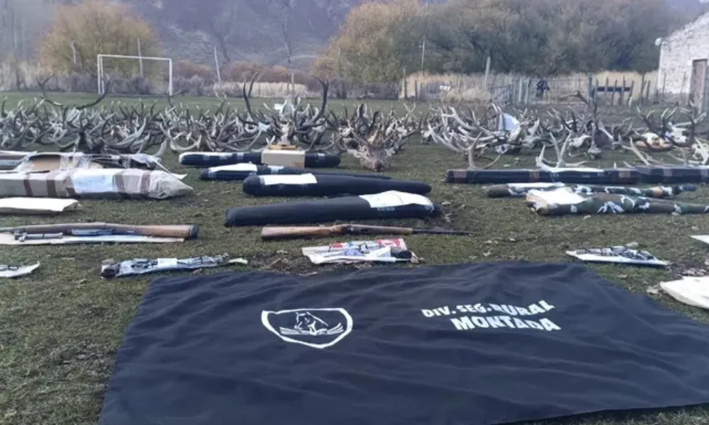 Mega Operativo por caza furtiva y abigeato