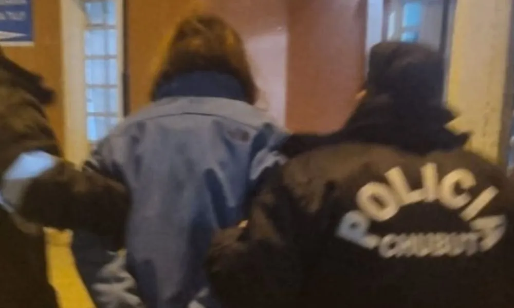 Detenida en Rada Tilly por robar un celular en una remisería