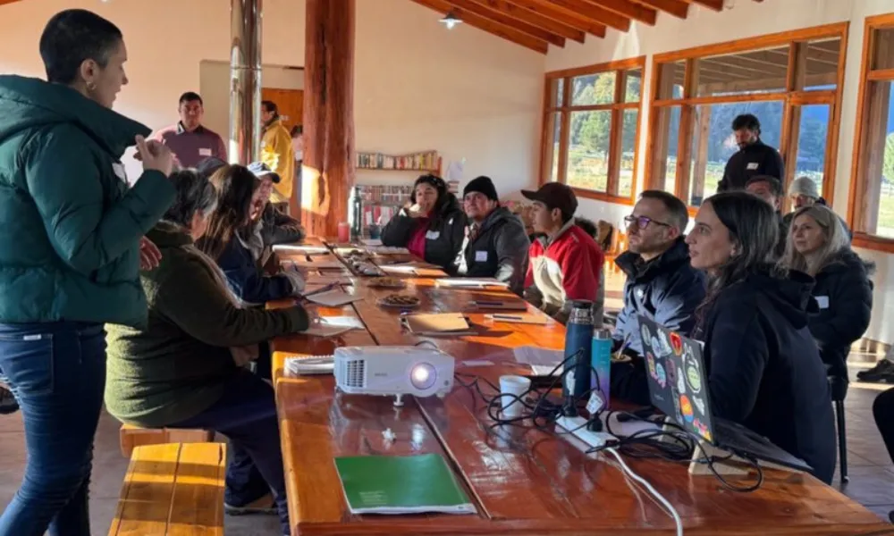 Consulta a Pueblos originarios