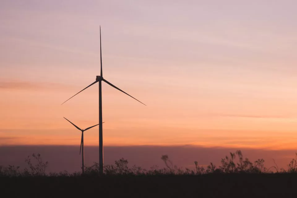 Molinos eólicos de Madryn al amanecer