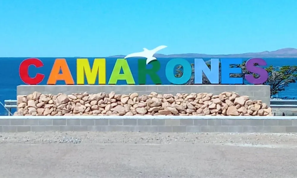 Camarones