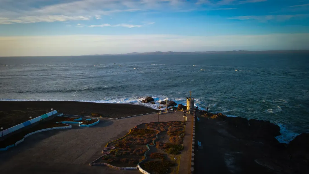 Camarones aclara vínculo con Fundación Rewilding