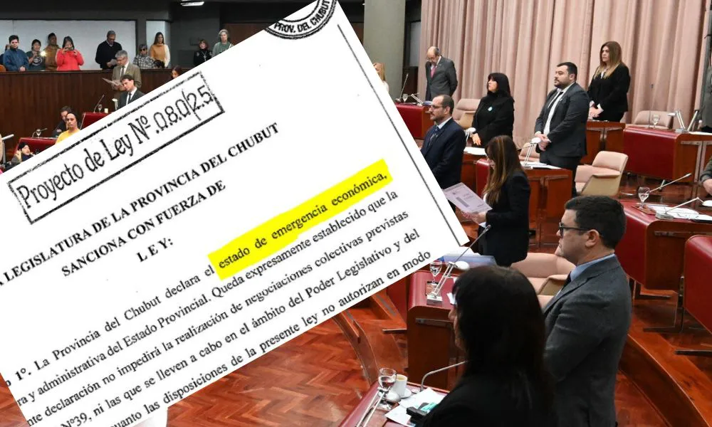 Legislatura proyecto de Ley emergencia económica