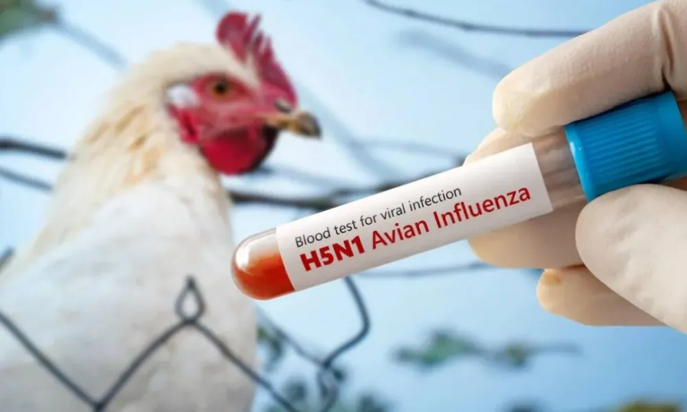 H5N1